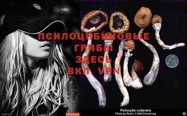 бутират Алексеевка