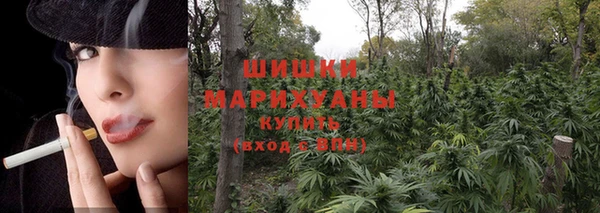 бошки Алексин