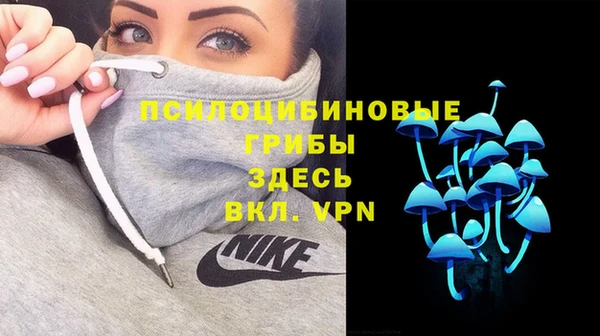бошки Алексин