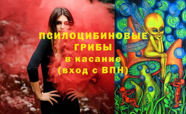 бошки Алексин