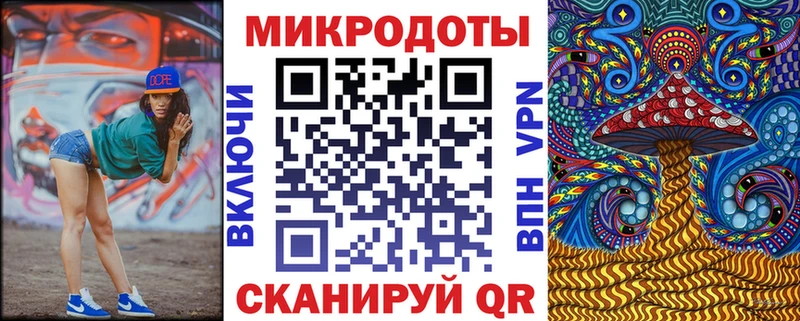 закладки Болхов Псилоцибиновые грибы Psilocybe